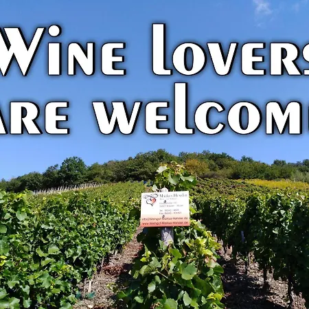 Wein- Und Sektgut Markus Hensler Gasthof