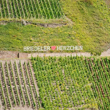Wein- Und Sektgut Markus Hensler 3*