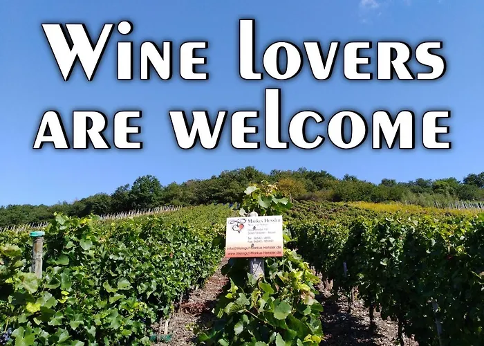 Wein- Und Sektgut Markus Hensler 게스트하우스